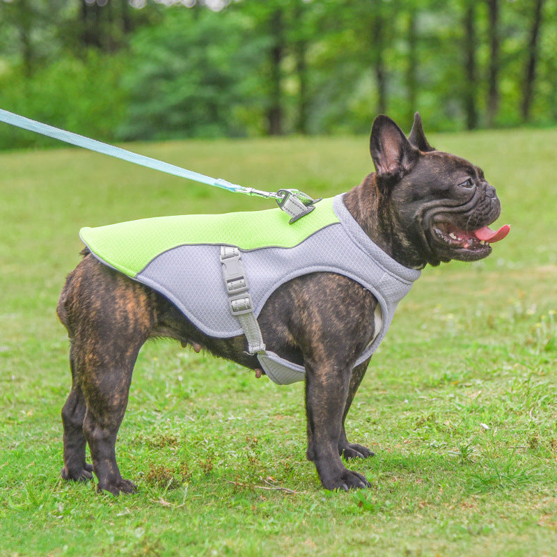 Summer Dog Cooling Vest – Breathable, Sun-Proof & Heat-Resistant