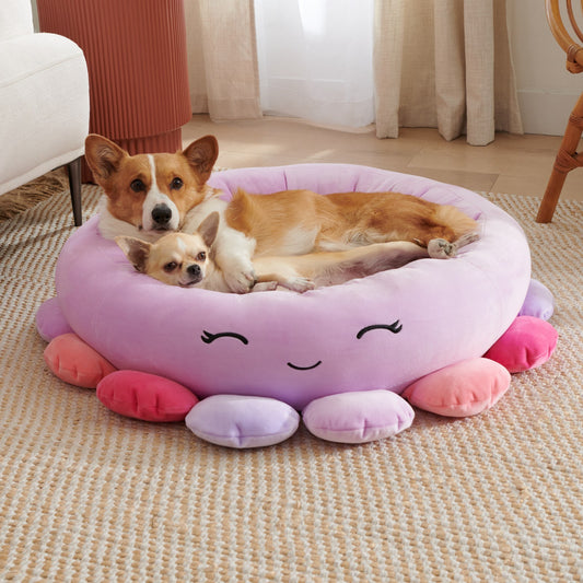 Fruit-Themed Plush Pet Bed – Super Soft Animal Print Dog/Cat Cushion